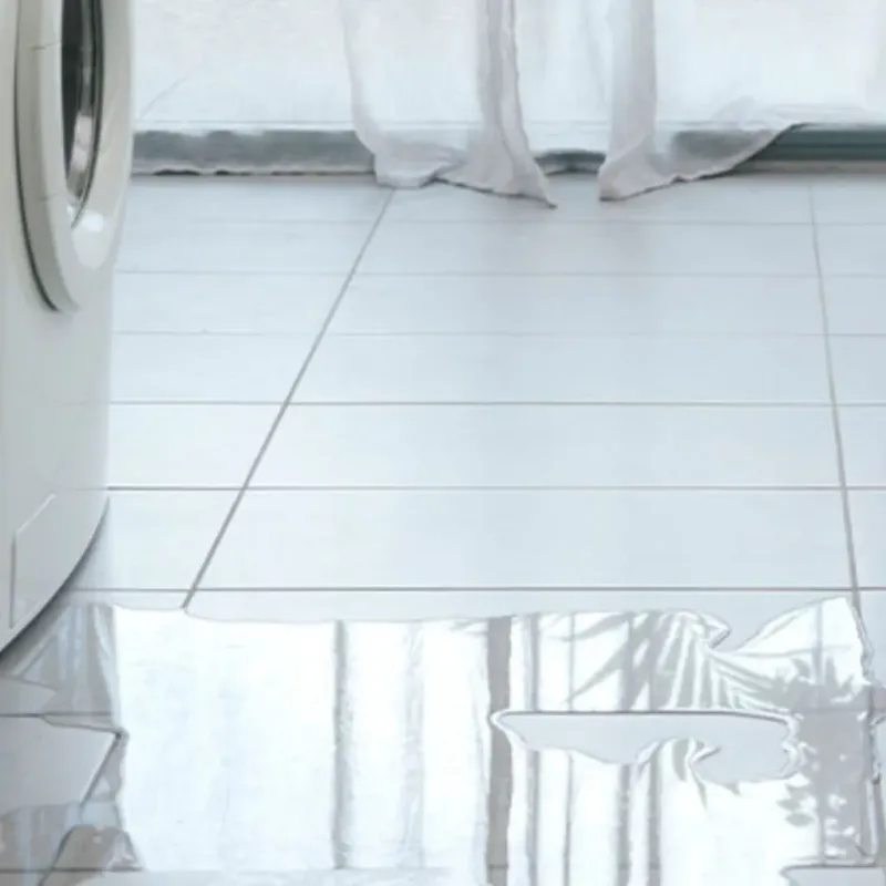Appliance Leak Cleanup in Deer Park, TX