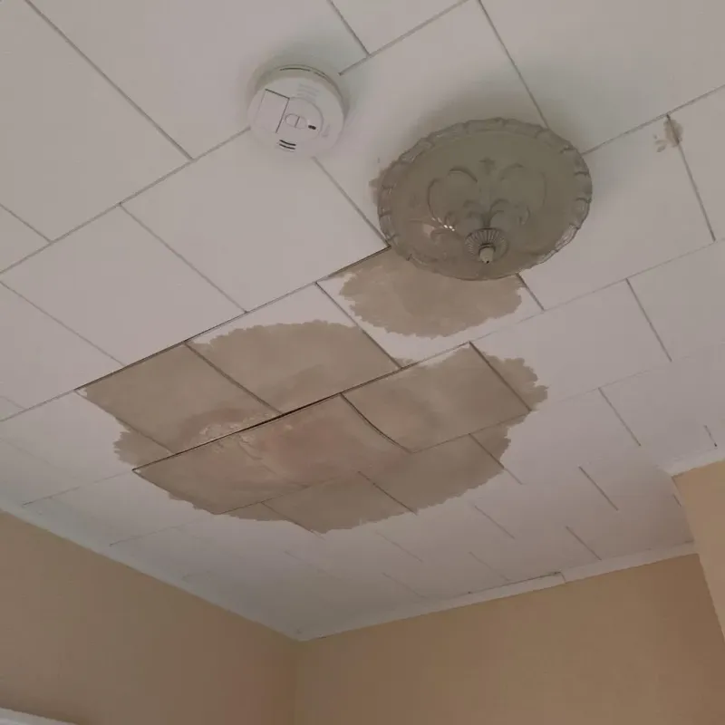 Ceiling Water Damage Repair in Deer Park, TX